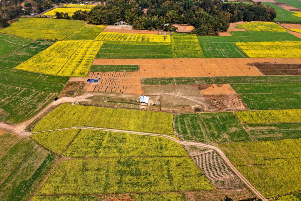 Οι μεταναστευτικοί μελισσοκόμοι της Ινδίας και οι κυψέλες τους ακολουθούν τα λουλούδια για να φέρουν το μέλι