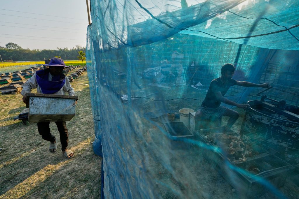 Οι μεταναστευτικοί μελισσοκόμοι της Ινδίας και οι κυψέλες τους ακολουθούν τα λουλούδια για να φέρουν το μέλι