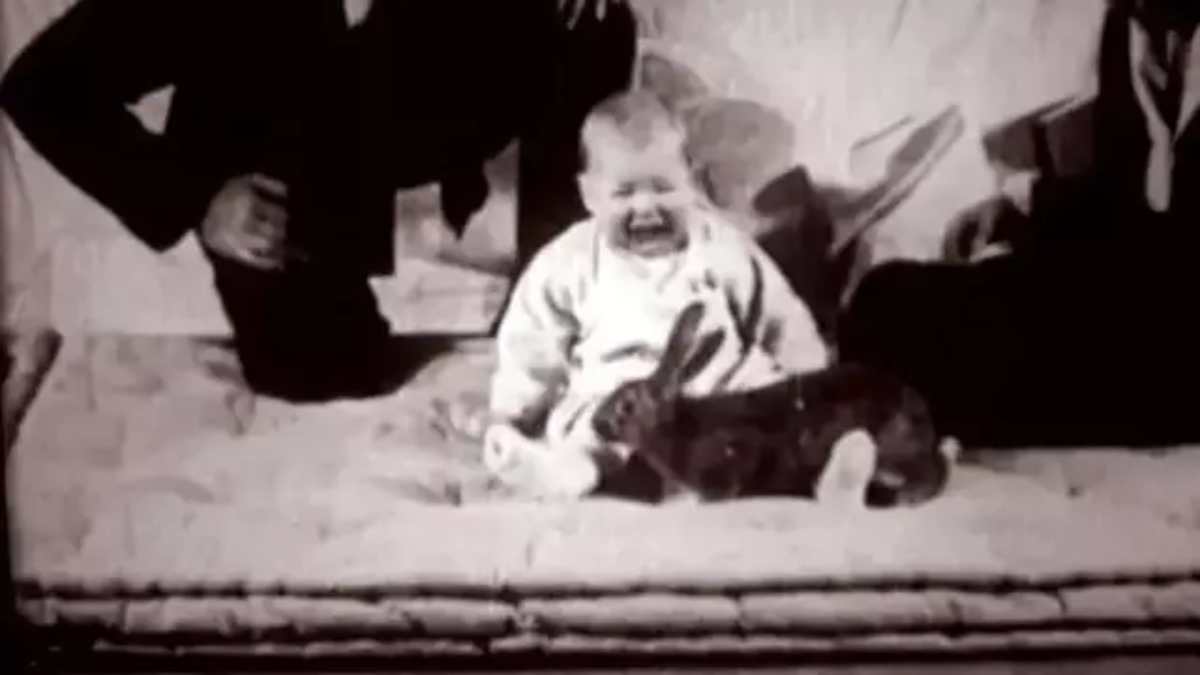 Το πιο ανήθικο πείραμα όλων των εποχών: Τι έκαναν επιστήμονες στον μικρό Άλμπερτ