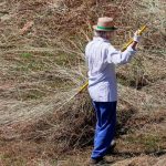 Η Εθνική Στρατηγική για την αγροτική εκπαίδευση στο επίκεντρο της 3ης συνεδρίασης της Εθνικής Επιτροπής AKIS