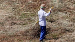 Η Εθνική Στρατηγική για την αγροτική εκπαίδευση στο επίκεντρο της 3ης συνεδρίασης της Εθνικής Επιτροπής AKIS