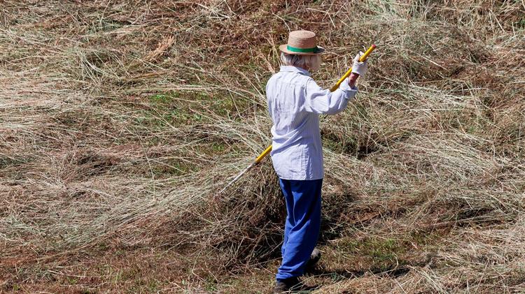Η Εθνική Στρατηγική για την αγροτική εκπαίδευση στο επίκεντρο της 3ης συνεδρίασης της Εθνικής Επιτροπής AKIS
