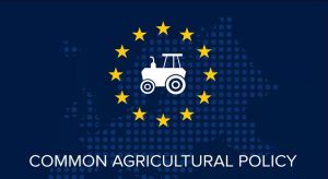 Η νέα ΚΑΠ «σπέρνει» αβεβαιότητα στον αγροτικό κόσμο σύμφωνα με το Ευρωπαϊκό Ελεγκτικό Συνέδριο • Έλληνας Αγρότης
