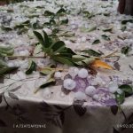 Έντονη χαλαζόπτωση έπληξε το Βροντάδο της Χίου