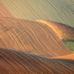 Γαλλικό ενδιαφέρον για συνεργασία με την Ουκρανία στον αγροτικό τομέα