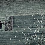 Τι ζητά η Ρουμανία για τους αγρότες της — και γιατί η απάντηση αφορά όλη την Ευρώπη