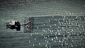 Τι ζητά η Ρουμανία για τους αγρότες της — και γιατί η απάντηση αφορά όλη την Ευρώπη