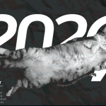 Έρευνα για τα αδέσποτα στη Θεσσαλονίκη: Χαμηλά ποσοστά στειρώσεων, ανεπαρκείς χρηματοδοτήσεις 