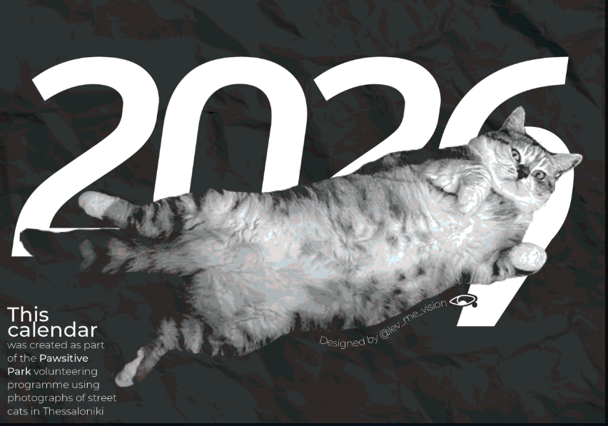 Έρευνα για τα αδέσποτα στη Θεσσαλονίκη: Χαμηλά ποσοστά στειρώσεων, ανεπαρκείς χρηματοδοτήσεις 