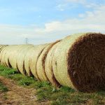 Πρόταση-τομή από ΣΥΡΙΖΑ, ΠΑΣΟΚ και Νέα Αριστερά: Εθνικό Συμβούλιο και Οδικός Χάρτης για τη γεωργία