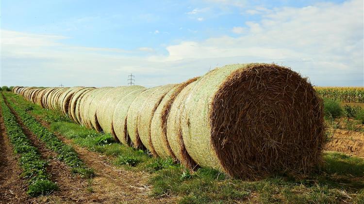 Πρόταση-τομή από ΣΥΡΙΖΑ, ΠΑΣΟΚ και Νέα Αριστερά: Εθνικό Συμβούλιο και Οδικός Χάρτης για τη γεωργία
