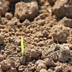 Σλοβενία: Κατηγορητήριο από την EPPO για απάτη €95.000 σε αγροτικά κονδύλια της ΕΕ