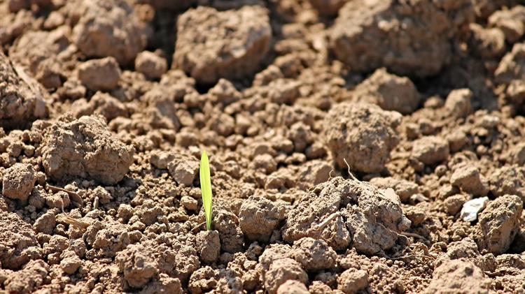 Σλοβενία: Κατηγορητήριο από την EPPO για απάτη €95.000 σε αγροτικά κονδύλια της ΕΕ