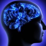 Η ανθυγιεινή διατροφή στην παιδική ηλικία «χαράσσει» τον εγκέφαλο για πάντα