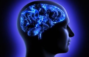 Η ανθυγιεινή διατροφή στην παιδική ηλικία «χαράσσει» τον εγκέφαλο για πάντα