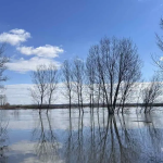 Παραμένει κρίσιμη η κατάσταση στον Έβρο, κάτω από το νερό χιλιάδες στρέμματα γης