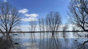 Παραμένει κρίσιμη η κατάσταση στον Έβρο, κάτω από το νερό χιλιάδες στρέμματα γης