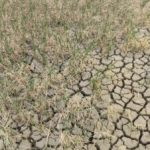 Έβρος: Από την πλημμύρα στη λειψυδρία και τα οφέλη στην Τουρκία (ΦΩΤΟ) • Έλληνας Αγρότης