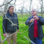 Στην πρωτοπορία, με το βλέμμα στο μέλλον • Έλληνας Αγρότης