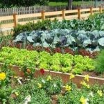 Επικεφαλής της εκπαιδευτικής μεταρρύθμισης στην κηπευτική ο Δρ. Owen Doyle