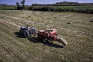 Μόνο με ΚΑΕΚ απόδειξη κυριότητας αγροτεμαχίων σε κλήρο