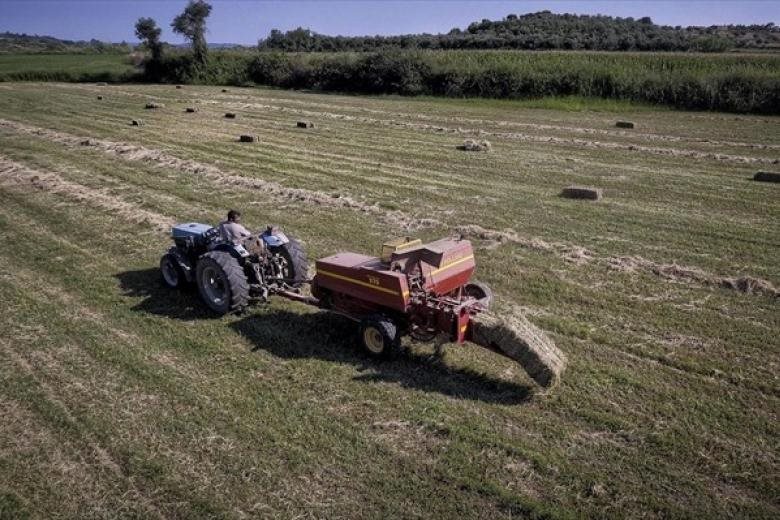 Μόνο με ΚΑΕΚ απόδειξη κυριότητας αγροτεμαχίων σε κλήρο