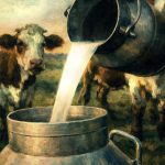 Γάλα τιμές και ασφάλεια τι δείχνει το αμερικανικό μοντέλο όταν το ράφι αρχίζει να τρίζει