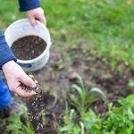 Η στρατηγική της ΕΕ για τα λιπάσματα: Απαντήσεις και μέτρα προστασίας για τους αγρότες