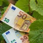 Σοβαρές προειδοποιήσεις για τη νέα ΚΓΠ από το Ευρωπαϊκό Ελεγκτικό Συνέδριο