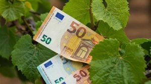 Σοβαρές προειδοποιήσεις για τη νέα ΚΓΠ από το Ευρωπαϊκό Ελεγκτικό Συνέδριο