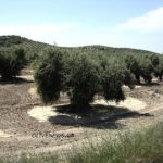 Ανοικτοί λογαριασμοί από το ισπανικό ισοζύγιο Ιανουαρίου 2026