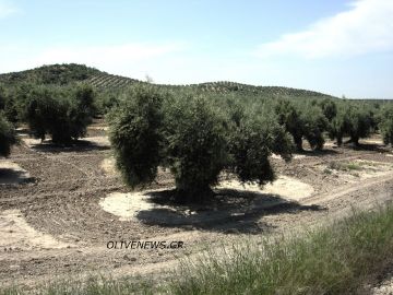 Ανοικτοί λογαριασμοί από το ισπανικό ισοζύγιο Ιανουαρίου 2026