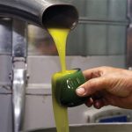 Η μετάβαση του ελαιολάδου σε περιβάλλον ESG στο επίκεντρο ημερίδας της ΦΙΛΑΙΟΣ 28 Φεβρουαρίου