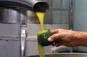 Η μετάβαση του ελαιολάδου σε περιβάλλον ESG στο επίκεντρο ημερίδας της ΦΙΛΑΙΟΣ 28 Φεβρουαρίου