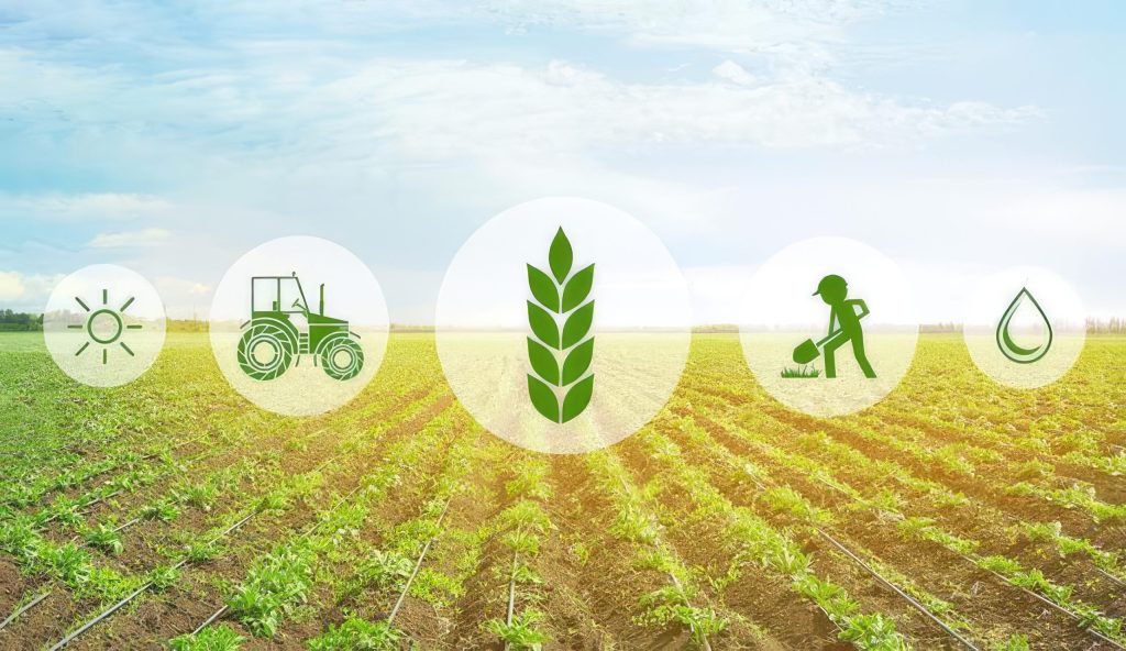 MIXED: Δημοσίευση 35 πρακτικών οδηγών για βιώσιμα και ανθεκτικά συστήματα παραγωγής