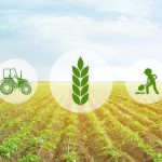 MIXED: Δημοσίευση 35 πρακτικών οδηγών για βιώσιμα και ανθεκτικά συστήματα παραγωγής