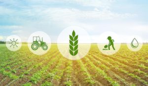 MIXED: Δημοσίευση 35 πρακτικών οδηγών για βιώσιμα και ανθεκτικά συστήματα παραγωγής