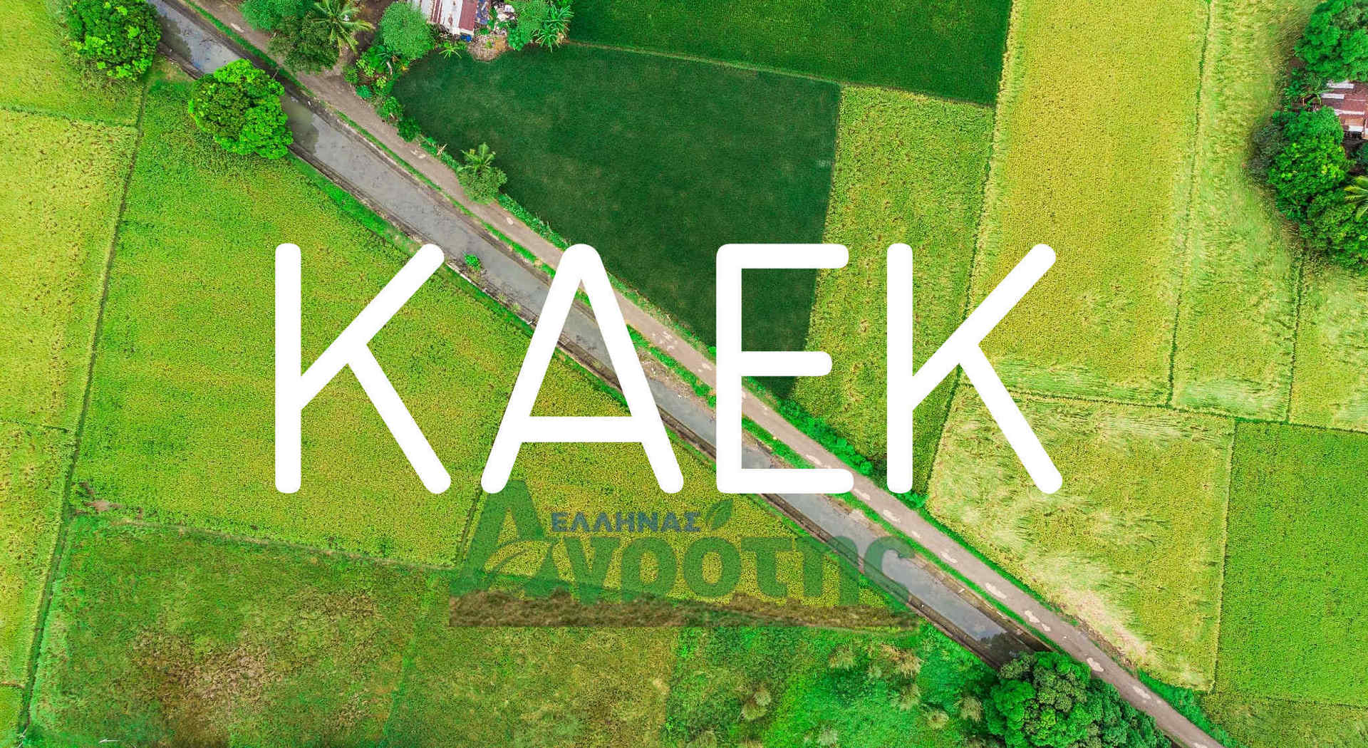 Διευκρινήσεις από Χατζηδάκη για ΑΤΑΚ και ΚΑΕΚ • Έλληνας Αγρότης