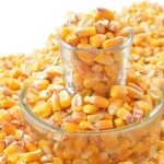 Καλαμπόκι: Σταθερή αγορά και συνδεδεμένη ενίσχυση ενισχύουν το ενδιαφέρον των παραγωγών