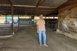 Έως 23 Φεβρουαρίου οι δηλώσεις προβατοτρόφων για ανωτέρα βία το 2025 λόγω θανάτωσης κοπαδιού - Τυροκόμος