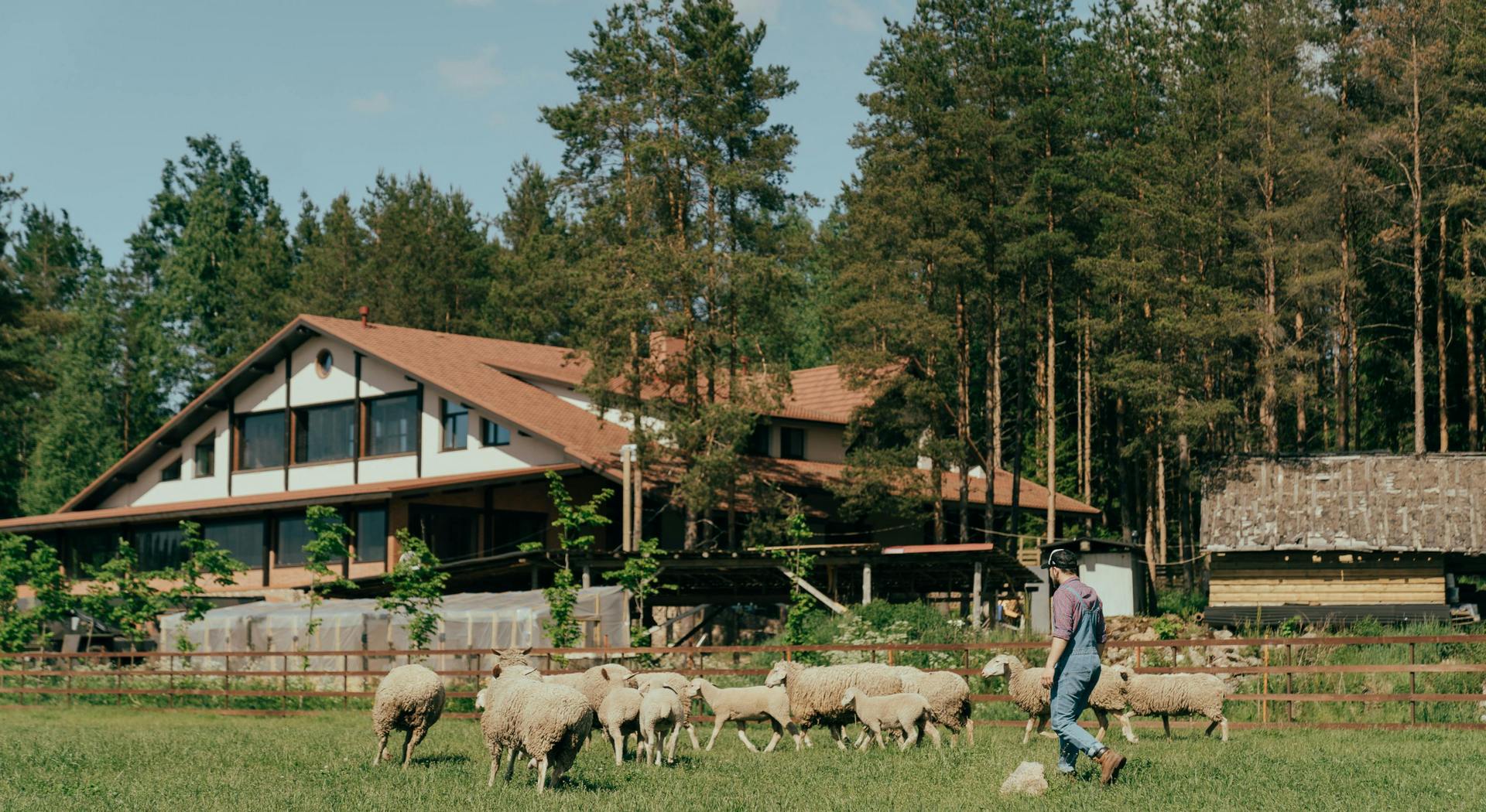 Κτηνοτρόφοι καταγγέλλουν εκβιασμούς και απειλές ότι θα χάσουν το σπίτι τους (Βίντεο) • Έλληνας Αγρότης