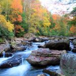 i-klimatiki-allagi-provlimatizei-ta-dasarcheia-sti-lakonia-95043