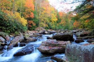 i-klimatiki-allagi-provlimatizei-ta-dasarcheia-sti-lakonia-95043