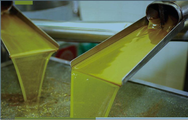 Τα ελαιοτριβεία της Σικελίας διεκδικούν χρηματοδότηση επενδύσεων