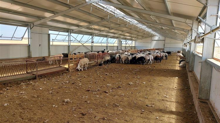 Εθνική Επιτροπή Ευλογιάς: Γιατί ο εμβολιασμός που προτείνει η EFSA κρίνεται επισφαλής και ανεφάρμοστος στην Ελλάδα