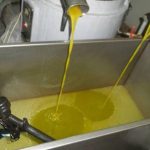 Ανδαλουσία: Πρόγραμμα 4,6 εκατ. ευρώ για τεχνική στήριξη στην ολοκληρωμένη παραγωγή ελαιώνα