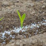 ΕΕ: Πράσινο φως στα λιπάσματα RENURE