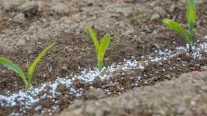 ΕΕ: Πράσινο φως στα λιπάσματα RENURE