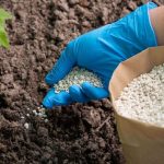 Η Κομισιόν αναστέλλει δασμούς σε αζωτούχα λιπάσματα και πρώτες ύλες • Έλληνας Αγρότης