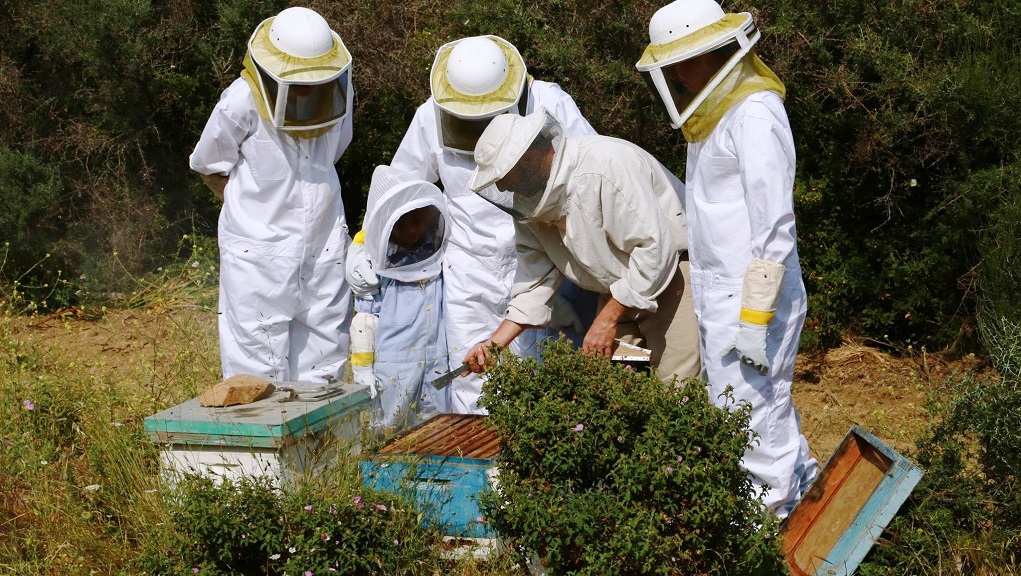 european-beekeeping-association-i-kap-apektise-tin-kypseli-tis-pros-leitourgiki-axiopoiisi-apo-tin-politeia-262708